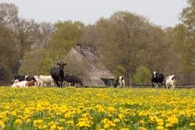 Betoverend Beelden tuin Gees
